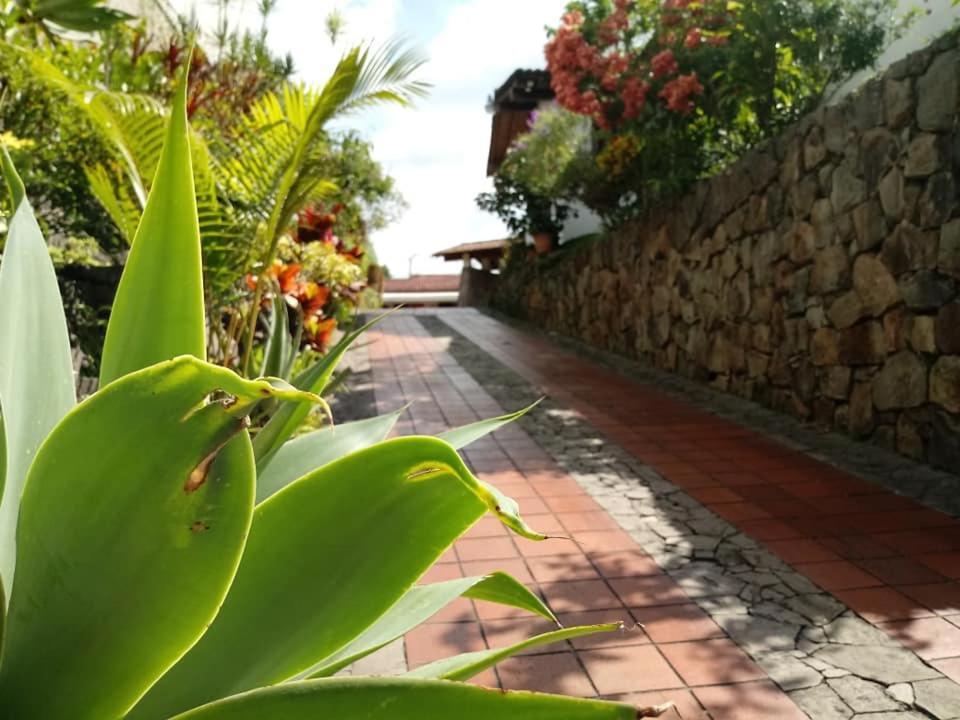 Hotel Alamo Internacional Σαν Σαλβαντόρ Εξωτερικό φωτογραφία